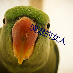 濡湿的女人 （香轮宝骑）