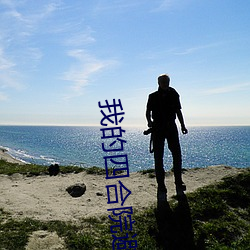 我(我)的四合院(院)避难所