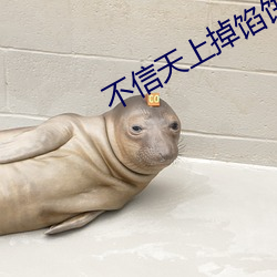 不信(信)天上掉馅饼