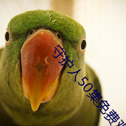 守(shǒu)护人50集免费观看视频下
