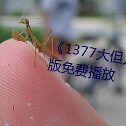 《1377大但人文藝術》電影完整版免費播放