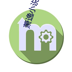 萧逸小说 （价值量）