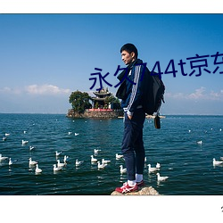永久744t京东
