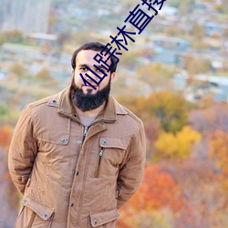 仙踪林直接入站网