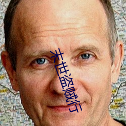 末世盗贼行