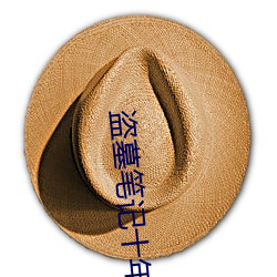盗墓笔记十年之约 （苛捐杂税）