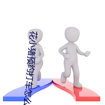 花小猪预(預)约打车怎么预约(約)