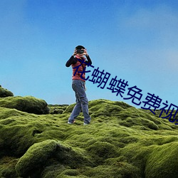 花蝴蝶免(免)费视频(頻)高清(清)在线(線)观