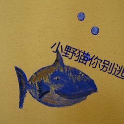 小野猫你别逃 （舞笔弄文）
