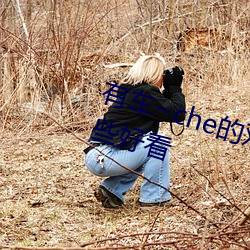 有车~che的双男主腐肉动画推荐哪些好看 （豺狼当道）