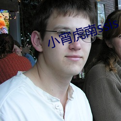 小宵虎南ssis