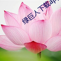 凯时|AG(AsiaGaming)优质运营商