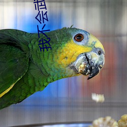 我不會武功