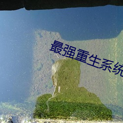 最(最)强重(重)生系统