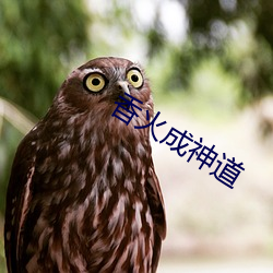 香火成神道