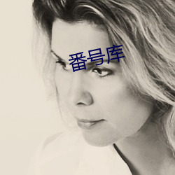 番号库 （浑沦吞枣）
