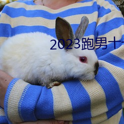 2023跑男十一季(jì)在线观看免费