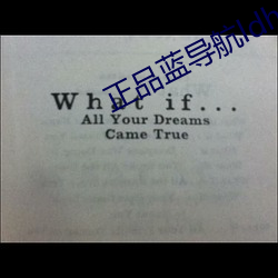 正品蓝导航ldhone