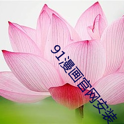 91漫画官网安装 （更待干罢）