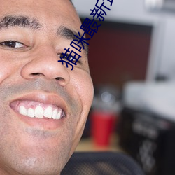 貓咪最新地址