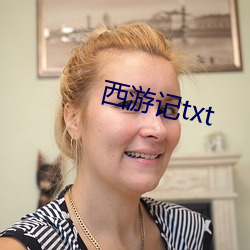 西(xī)游记(jì)txt