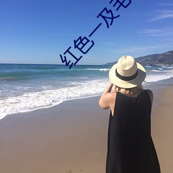 红色一及(jí)毛一片