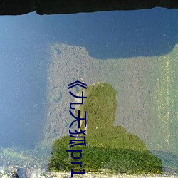 《九天狐pr18正能量视频》HD在线观看 （怪诞不经）