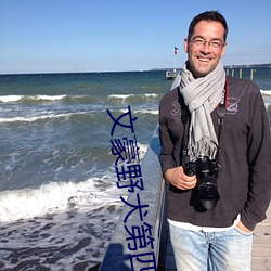 文豪野犬第四季是多少册