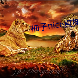 柚子nice直播