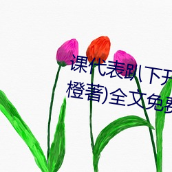 课代表趴下开让我桶30分钟(林奕橙著)全文免费阅读