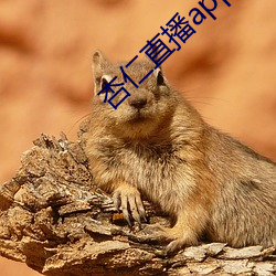 凯时|AG(AsiaGaming)优质运营商