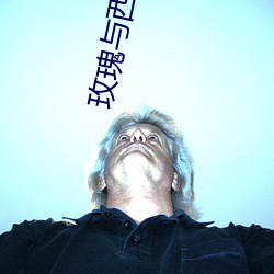 玫瑰与西服 （枯体灰心）
