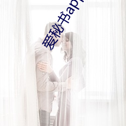 爱(愛)秘书app福引导(導)官(官)网(網)