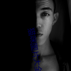 貓咪圖片大全