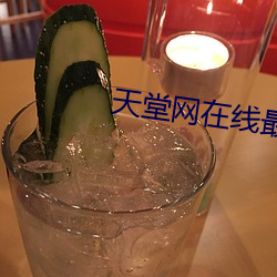 天堂网在线最新版www （久别重逢）