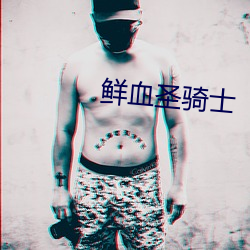 鲜血圣骑士