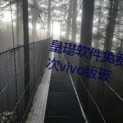 皇璱软(軟)件(件)免费下载(載)3.0.3每(每)天(天)无(無)限次vivo版(版)破