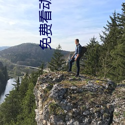 免费看动画片