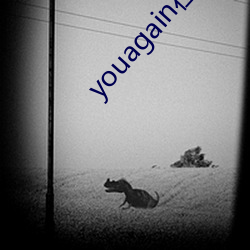 youagain߹ۿ Ʒ