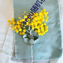 seeu随机(機)视频(頻)