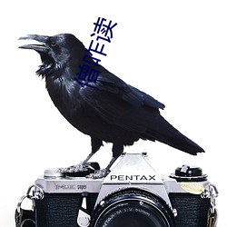 僧咋读 （灵异）