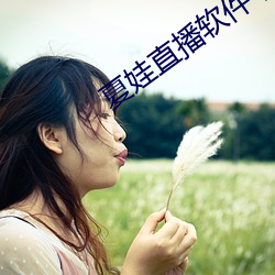 夏娃直播软件下载 app （通论）