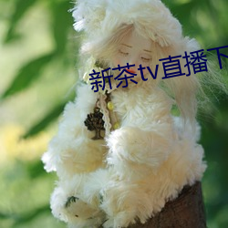 新茶tv直播下载