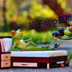 茄(茄)子(子)app直播ios