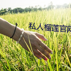 凯时|AG(AsiaGaming)优质运营商