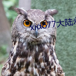 xiαo77大陆永久论坛新网