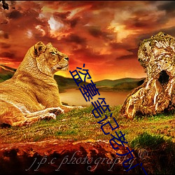 金年会 | 诚信至上金字招牌