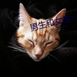 男生和女生一起差差差的很