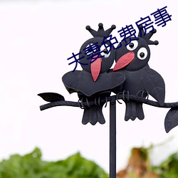 夫(fū)妻(qī)免(miǎn)费房事(shì)
