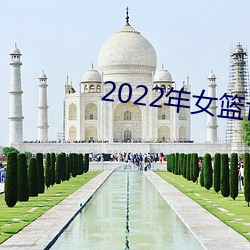 2022年女篮世(世)界杯名单